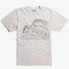 my neighbor totoro cat